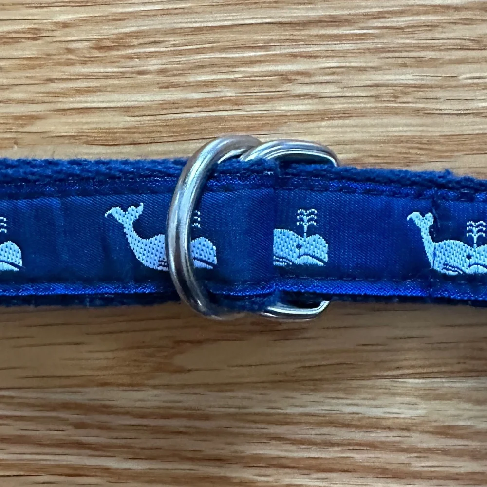 A. Tierney Kid's Whale D-Ring Belt (L)